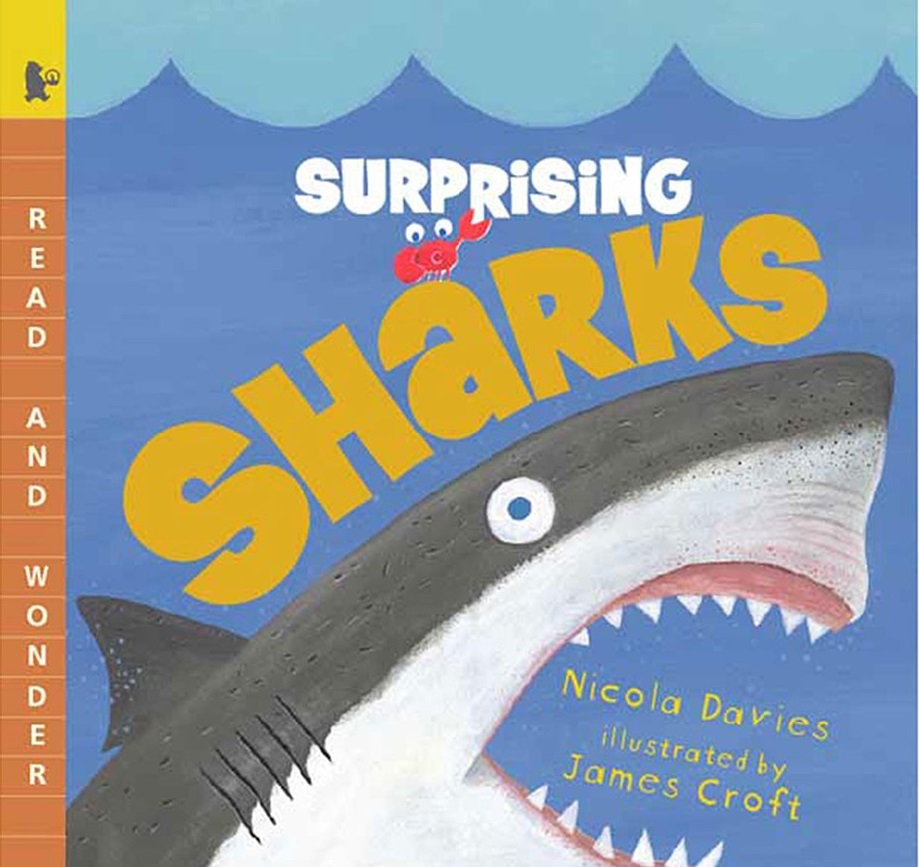 Picture Book List: 20 Great Books About Sharks - Only Picture Books